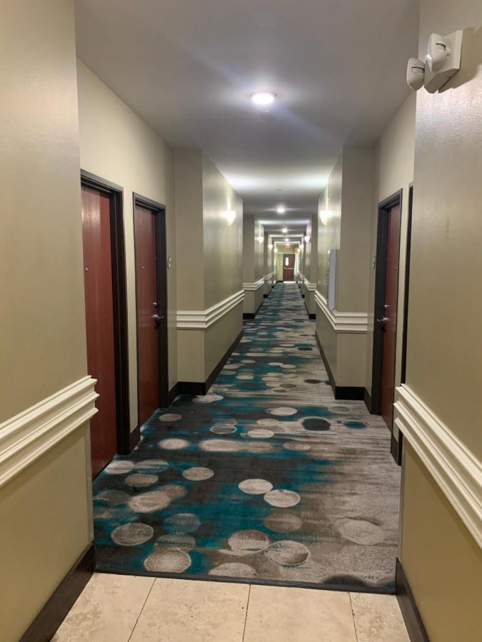 Rodeway Inn & Suites Winnfield Exteriér fotografie