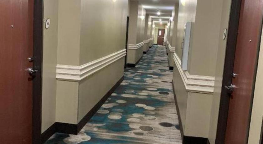 Rodeway Inn & Suites Winnfield Exteriér fotografie